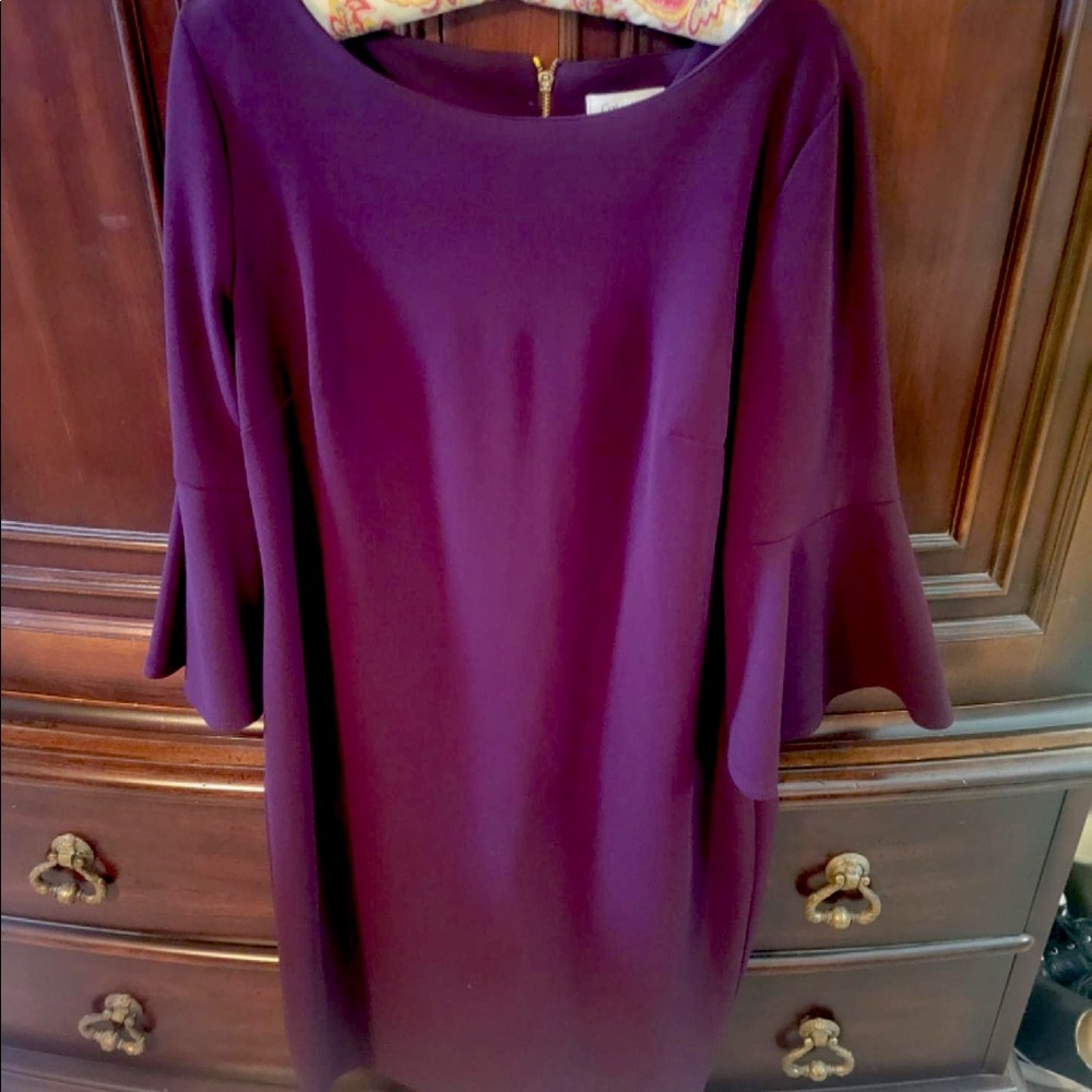 Calvin Klein Maroon Dress